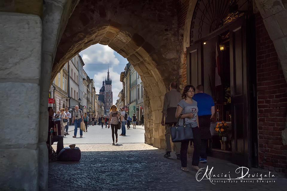 Hummus Vegan * Krakau